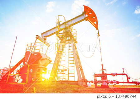 Pumpjack in oil well of oil field on sunrise in Industrial crude area. Crude pump jack on oil field Pumpjack in oil well of oil field on sunrise in Industrial crude area. Crude pump jack on oil field 137490744