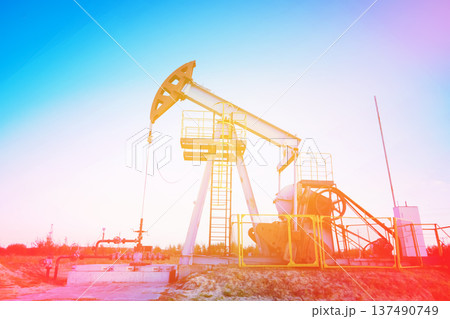 Pumpjack in oil well of oil field on sunrise in Industrial crude area. Crude pump jack on oil field Pumpjack in oil well of oil field on sunrise in Industrial crude area. Crude pump jack on oil field 137490749