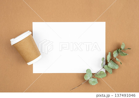 Craft paper coffee cup and eucalyptus sprig on eco background, flat lay. 137491046