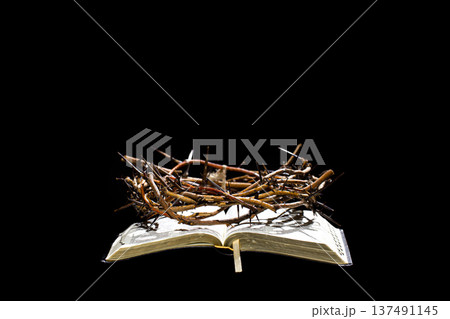 The crown of thorns lies on the open holy book of the Bible copy space. 137491145