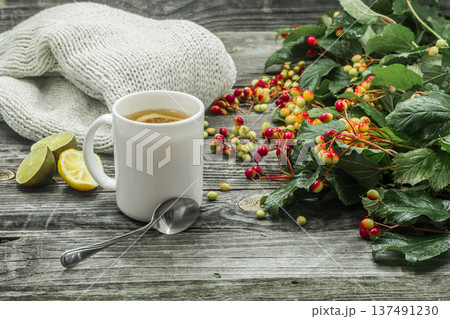 the Cup of tea on a beautiful wooden background with winter sweater, berries, autumn 137491230