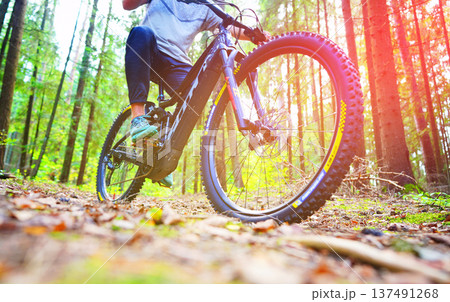 Cyclist on a bicycle, front view. Sportsman cyclist on Electric mountain bike on a forest trail. Cyclist on a bicycle, front view. Sportsman cyclist on Electric mountain bike on a forest trail. 137491268