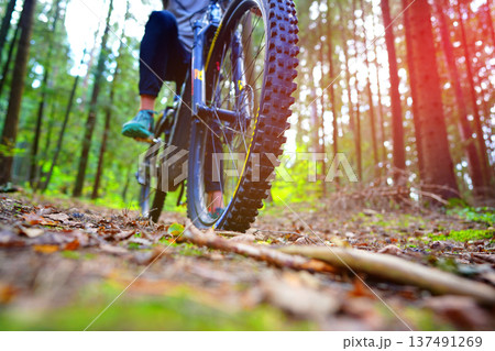Cyclist on bicycle front view. Sportsman cyclist on Electric mountain bike forest trail. MTB E-bike Cyclist on bicycle front view. Sportsman cyclist on Electric mountain bike forest trail. MTB E-bike 137491269