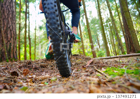 Cyclist on a bicycle, rear view. Sportsman cyclist on Electric mountain bike on a forest trail. Cyclist on a bicycle, rear view. Sportsman cyclist on Electric mountain bike on a forest trail. 137491271