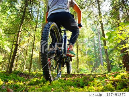 Cyclist on a bicycle, rear view. Sportsman cyclist on Electric mountain bike on a forest trail. Cyclist on a bicycle, rear view. Sportsman cyclist on Electric mountain bike on a forest trail. 137491272
