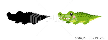 Cute crocodile cartoon with shadow silhouette for kids educational game Cute crocodile cartoon with shadow silhouette for kids educational game 137491286