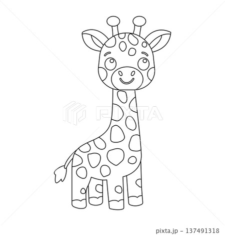 Cute baby giraffe line art vector illustration. Tall cartoon giraffe coloring page for kids. Cute baby giraffe line art vector illustration. Tall cartoon giraffe coloring page for kids. 137491318