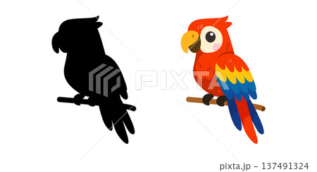 Cute colorful parrot cartoon with shadow silhouette for kids educational game Cute colorful parrot cartoon with shadow silhouette for kids educational game 137491324