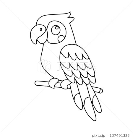 Cute parrot on a branch line art vector illustration. Tropical bird coloring page for children. Cute parrot on a branch line art vector illustration. Tropical bird coloring page for children. 137491325