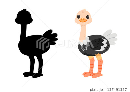 Cute baby ostrich cartoon with shadow silhouette for kids educational game 137491327