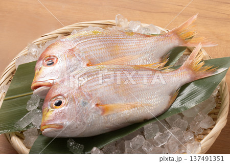 ［長崎県産］きだい（れんこだい） 137491351