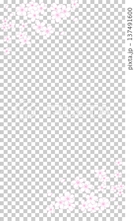 舞う桜のイラスト 舞う桜のイラスト 137491600