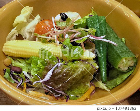 新鮮な生野菜サラダ 新鮮な生野菜サラダ 137491862