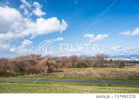 淀川河川公園出口地区　大阪府枚方市 137492250