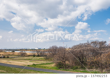 淀川河川公園出口地区　大阪府枚方市 137492253