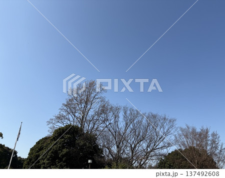 冬の空の写真 冬の空の写真 137492608