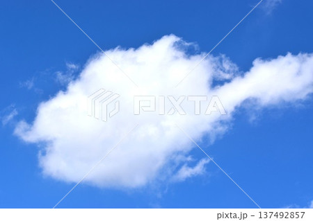 雲の形は刻々と変化する 137492857