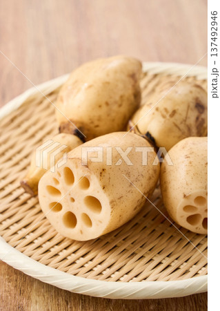 生のれんこん(蓮根) 竹ざるに盛った食材 生のれんこん(蓮根) 竹ざるに盛った食材 137492946