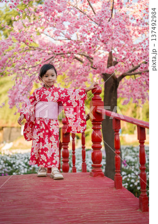 preschool child girl in yukata (kimono dress) on red bridge with sakura flower or cherry blossom blooming in garden 137492984