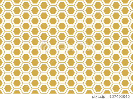 亀甲のシンプルなパターン 137493040