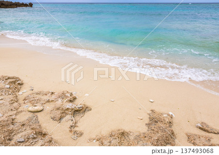 〈沖縄県〉水納島の美しい波打ち際 137493068