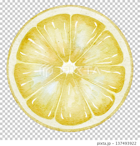 Watercolor illustration of Lemon Slice with detailed pulp texture and translucent flesh. Citrus fruit element isolated for food packaging, recipe design, kitchen prints, menus and branding. 137493922