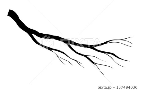 Branch silhouette vector illustration on isolated background. Drawing of wood twig element for tundra forest scenes painted by black inks. Plant for wildlife compositions, icon and graphic design. Branch silhouette vector illustration on isolated background. Drawing of wood twig element for tundra forest scenes painted by black inks. Plant for wildlife compositions, icon and graphic design. 137494030