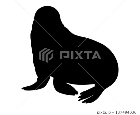 Walrus silhouette vector illustration on isolated background. Shadow of sea animal painted by black inks for tundra fauna themes, icon and graphic design. Art of marine mammal. 137494036