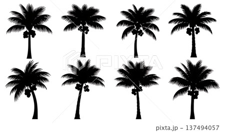 Black Solid Coconut Palm Tree Silhouettes Set of Six on White Background Black Solid Coconut Palm Tree Silhouettes Set of Six on White Background 137494057