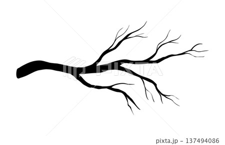 Branch silhouette vector illustration on isolated background. Drawing of wood twig element for tundra forest scenes painted by black inks. Plant for wildlife compositions, icon and graphic design. Branch silhouette vector illustration on isolated background. Drawing of wood twig element for tundra forest scenes painted by black inks. Plant for wildlife compositions, icon and graphic design. 137494086