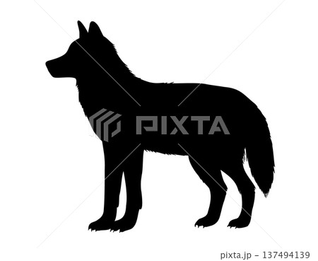 Wolf silhouette vector illustration on isolated background. Shadow of Canine predator painted by black inks. Drawing of forest or tundra Animal for wildlife themes, icon, print and graphic design. Wolf silhouette vector illustration on isolated background. Shadow of Canine predator painted by black inks. Drawing of forest or tundra Animal for wildlife themes, icon, print and graphic design. 137494139