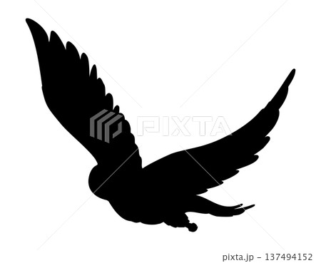 Owl in flight silhouette vector illustration on isolated background. Shadow of Bird painted by black inks predator element for tundra wildlife themes, icon and graphic design. 137494152