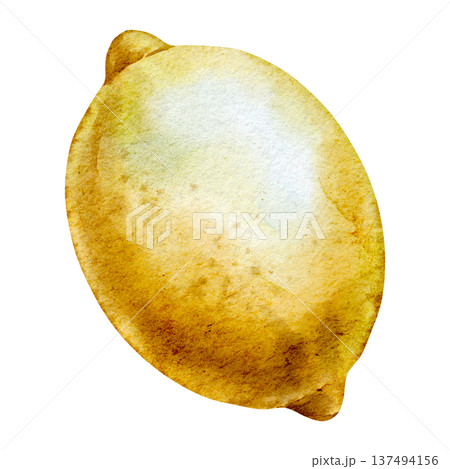 Watercolor illustration of whole Lemon fruit with textured peel and natural yellow rind. Botanical Citrus element isolated for food design, packaging, kitchen prints, recipe cards and market branding. 137494156