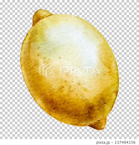 Watercolor illustration of whole Lemon fruit with textured peel and natural yellow rind. Botanical Citrus element isolated for food design, packaging, kitchen prints, recipe cards and market branding. 137494156