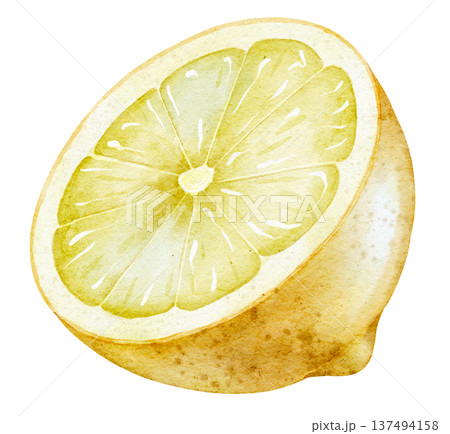 Watercolor illustration of Lemon Slice with detailed pulp texture and translucent flesh. Half of Citrus fruit element isolated for food packaging, recipe design, kitchen prints, menus and branding. Watercolor illustration of Lemon Slice with detailed pulp texture and translucent flesh. Half of Citrus fruit element isolated for food packaging, recipe design, kitchen prints, menus and branding. 137494158