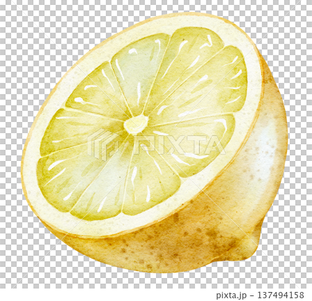 Watercolor illustration of Lemon Slice with detailed pulp texture and translucent flesh. Half of Citrus fruit element isolated for food packaging, recipe design, kitchen prints, menus and branding. Watercolor illustration of Lemon Slice with detailed pulp texture and translucent flesh. Half of Citrus fruit element isolated for food packaging, recipe design, kitchen prints, menus and branding. 137494158