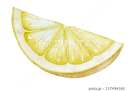 Watercolor illustration of Lemon Slice with detailed pulp texture and translucent flesh. Citrus fruit element isolated for food packaging, recipe design, kitchen prints, menus and branding. 137494160