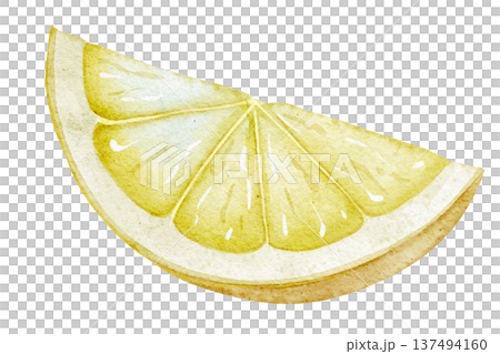 Watercolor illustration of Lemon Slice with detailed pulp texture and translucent flesh. Citrus fruit element isolated for food packaging, recipe design, kitchen prints, menus and branding. 137494160