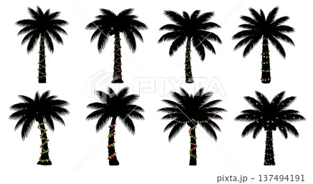 Black Solid Decorated Holiday Palm Tree Silhouettes Set of Six on White Background Black Solid Decorated Holiday Palm Tree Silhouettes Set of Six on White Background 137494191