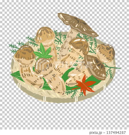 手繪插圖，描繪了盛放在濾盆中的秋季蘑菇拼盤（松茸）。 137494287