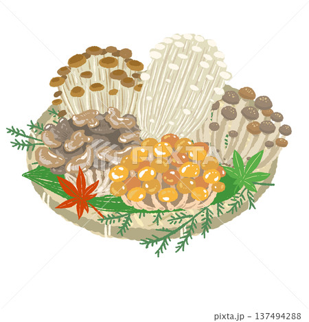 ザルに盛られた秋の味覚きのこセットの手描きイラスト 137494288