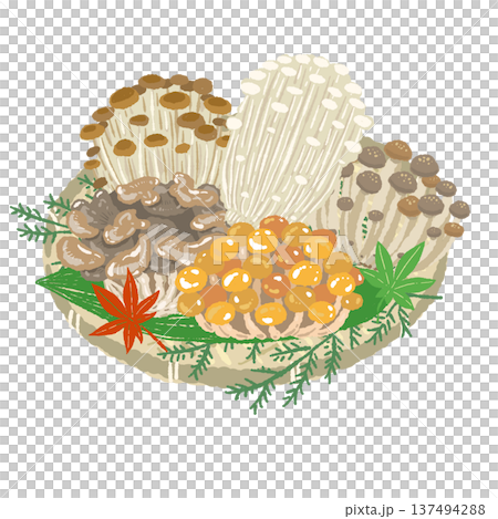 ザルに盛られた秋の味覚きのこセットの手描きイラスト 137494288