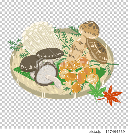 ザルに盛られた秋の味覚きのこセット（しいたけ・なめこ等）の手描きイラスト 137494289