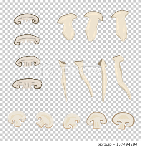 Hand-drawn illustration of sliced mushrooms (mushrooms, etc.) Hand-drawn illustration of sliced mushrooms (mushrooms, etc.) 137494294