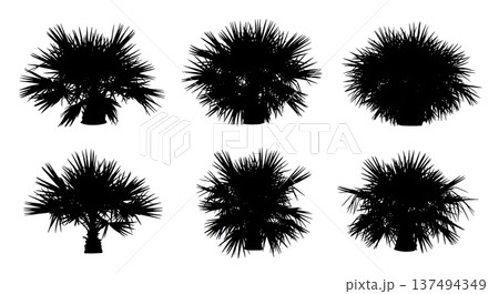 Black Solid Dwarf Palm Shrub Silhouettes Set of Six Black Solid Dwarf Palm Shrub Silhouettes Set of Six 137494349
