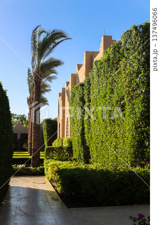 A house behind a fence of bushes, greenery and palm trees A house behind a fence of bushes, greenery and palm trees 137496066