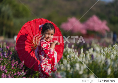 preschool child girl in yukata (kimono dress) holding umbrella with sakura flower or cherry blossom blooming in garden preschool child girl in yukata (kimono dress) holding umbrella with sakura flower or cherry blossom blooming in garden 137496769