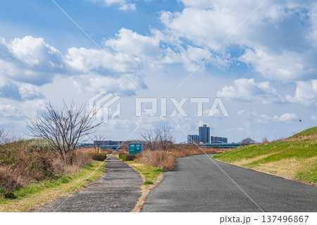 淀川河川敷風景 大阪府 淀川河川敷風景 大阪府 137496867