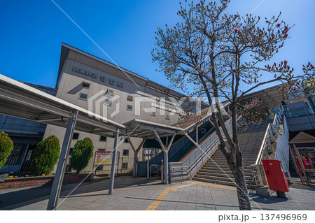 関東鉄道守谷駅【茨城県守谷市】 関東鉄道守谷駅【茨城県守谷市】 137496969