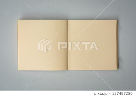 Open notepad 137497280
